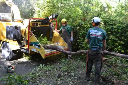 tree services Biscayne Park